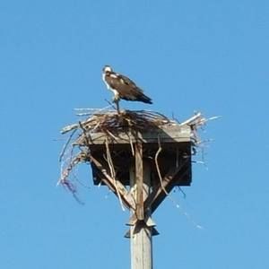 Meet your Posher, Gary